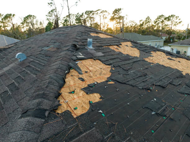 Best Asphalt Shingles Roofing  in Ridgway, CO